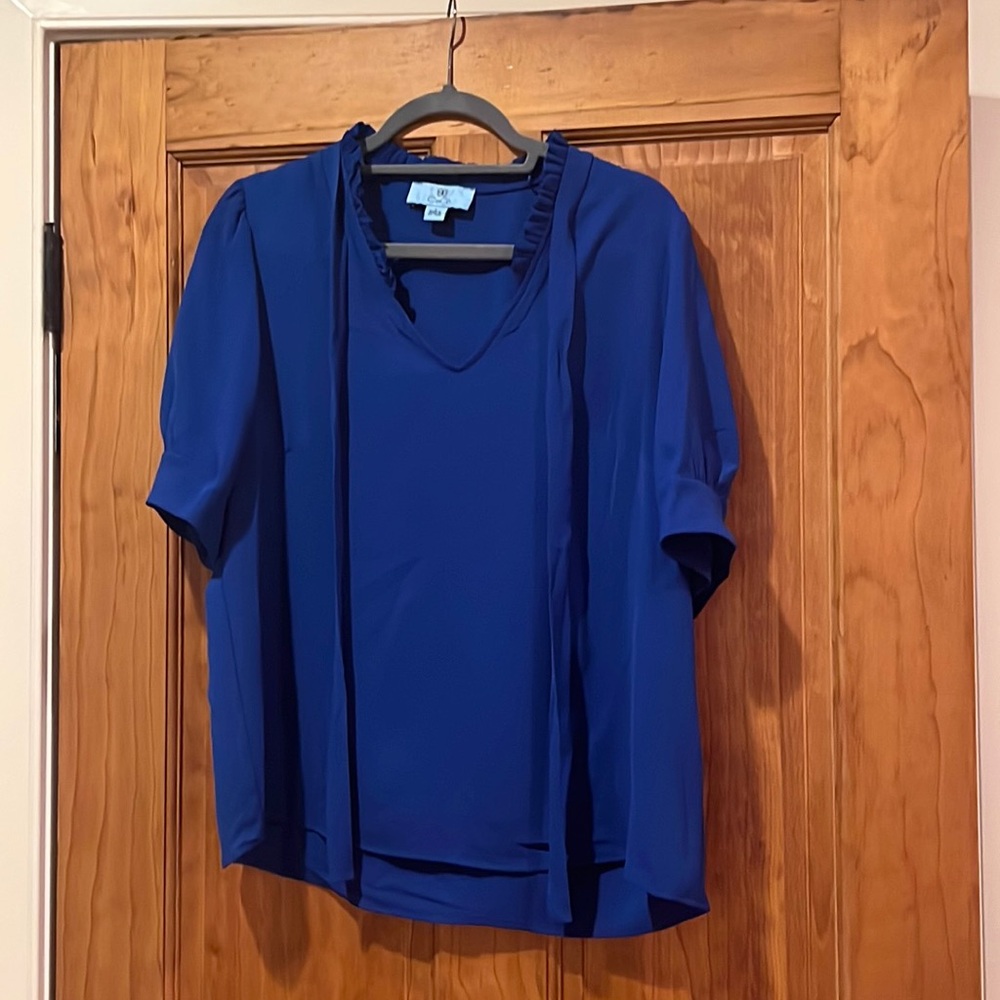 CeCe Blue Boxy Blouse with Short Sleeves